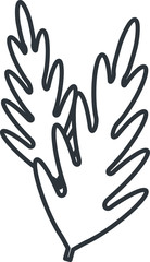 Rucola icon, vector line illustration