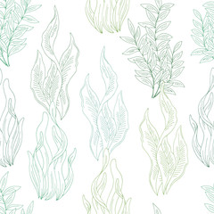 Seaweed graphic color seamless pattern background sketch illustration vector