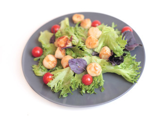 Seafoods - Shrimps, Sea Scallops, Squids and Salmon. Garnished with Fresh Raw Salad Leaf.