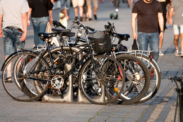Fototapeta premium bicycle parking in the city