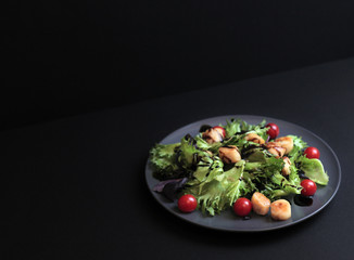 Fresh seared sea scallops salad with cucumber on dark background. Selective focus