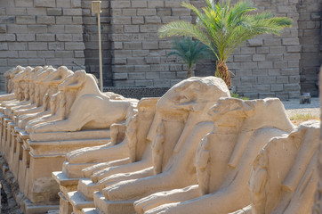 Egyptian Art. Karnak Temple. Avenue of sphinxes with ram's head. Around Luxor