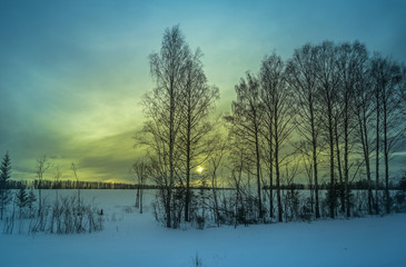 Winter forest landscape at sunset in the evening. Beautiful traditional view of woodland. Location in the north of Russia.