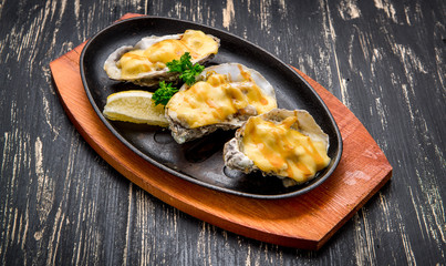 Oysters in a pan in a creamy sauce and cheese