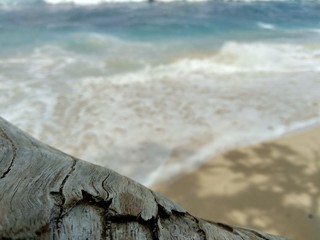 Wood on the beach with beautiful scenery. Good for background and quotes.