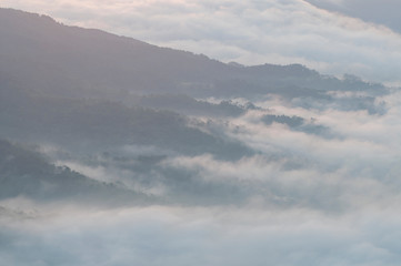 fog in the hills