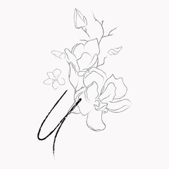 Handwritten Floral Logo Template. Line Drawing Monogram U with Magnolia Flower, Plants, Branches, Leaves. Design Element Vector Illustration. Branding. Wedding, photography, art, studio