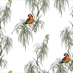 Seamless Pattern Cockatoo Parrots in Dragon Exotic Tropical Trees, Small Isolated Groups of Birds, Jungle Wildlife on White Background