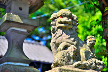 Komainu(Guardian dog) of the Kinugasa shrine in Yokosuka, Japan.