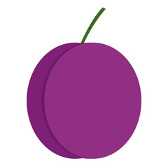 Plum flat icon. Colored bright purple Vector illustration. Summer fruit graphic icon