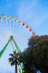 Fototapeta premium Colorful ferris wheel in the city park at evening.