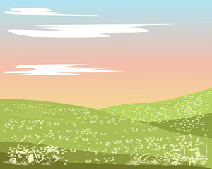 Obraz premium Background of a summer meadow on which grows a lot of flowers