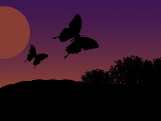 Butterflies in the Evening Sun, Digital Art