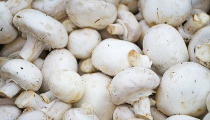 Close-up view of organic champignons in supermarket.