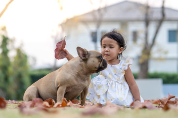 Beautiful little girl playing with her french bulldog backyard at noon.