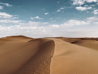 Fototapeta na wymiar Arabian Desert