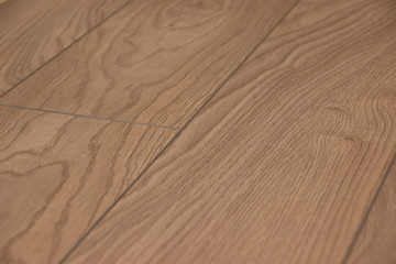 texture of wood laminate