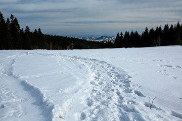 Fototapeta premium winter mountain landscape