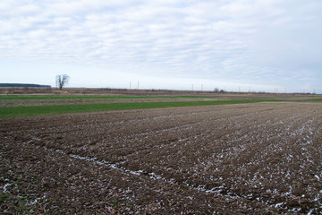 Field with plowed soil and grass areas during the deep autumn. Cloudy sky and snow underfoot.