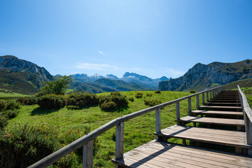Fototapeta na wymiar Boardwalk road to mountains and lakes of nathional park Picos de Europa in Asturias, Spain
