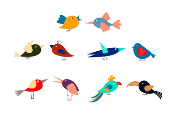 Cute cartoon multicolored birds on white background. Set
