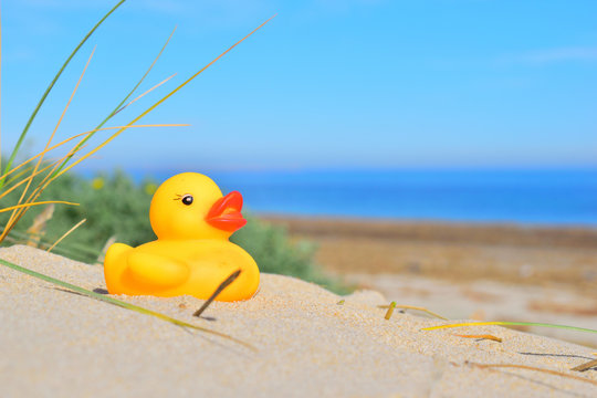 yellow duck on the panorama beach