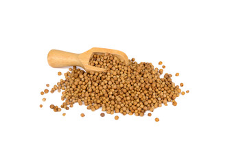 pile dried coriander seed on white background
