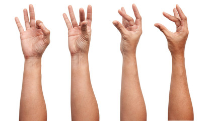 Group of Male Asian hand gestures isolated over the white background. Soft Grab Action. Touch Action. Touch Small Thing.