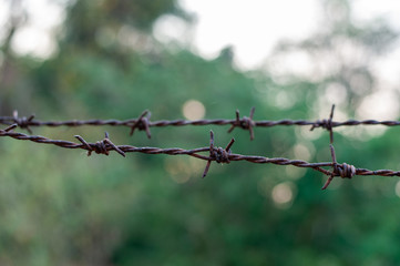 rusty barbed wire fence on natural background blur