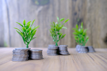 Close up of young plant growing through coins, investment 