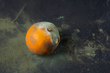 Rotting orange with damaged skin on a dark background. Mold. Rot. Decomposition. Incorrect storage