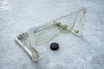 goal scored by a hockey puck in the goal net