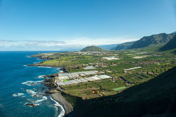 Obraz premium West coast of Tenerife. Mirador la Monja. Multi-tiered gardens. Extensive cactus and banana plantations. Picturesque mountainside.