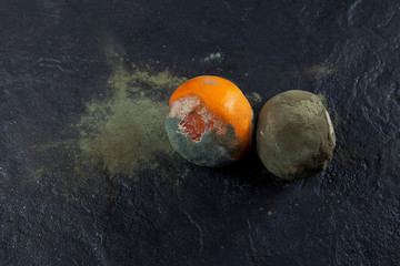 Two rotten oranges on a dark background. Incorrect storage. Decomposition process. Copy space
