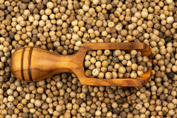 Spice background, Background made of many whole white peppercorns and a spice shovel made of a olive wood, filled with white peppercorns, close up, top view