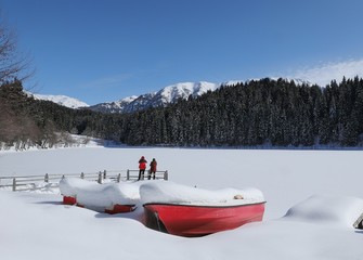 Fototapete bei efototapeten.de bestellen   