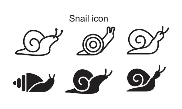 Snail icon template black color editable. Snail icon symbol Flat vector illustration for graphic and web design.