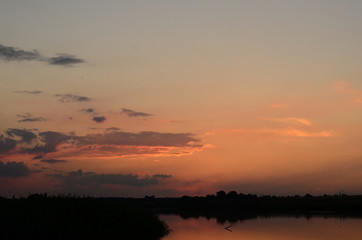 Sunset grass on river sunset landscape