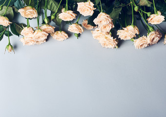 Border of beige roses flowers.