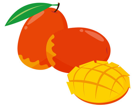 トロピカルフルーツ Images Browse 4 605 Stock Photos Vectors And Video Adobe Stock