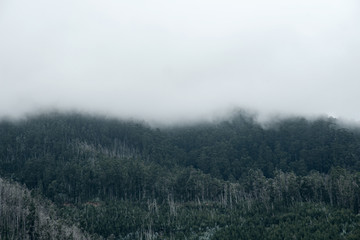 fog in the mountains photo wallpaper