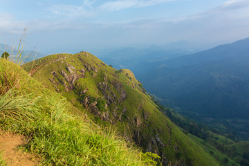 Fototapeta premium Mountain landscape, green slopes. Beauty of mountains. Little Adam peak, mountain in the fog view from the jungle