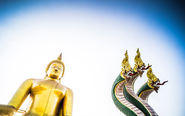 Golden Buddha Statue in the world and The Great Serpent "Naga" Sculpture at Wat Muang Temple