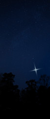 Christmas star rising on a dark and star filled night