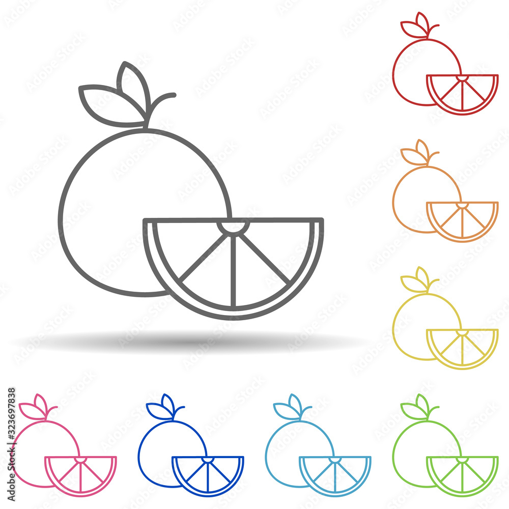Poster orange in multi color style icon. simple thin line, outline vector of fruit icons for ui and ux, web