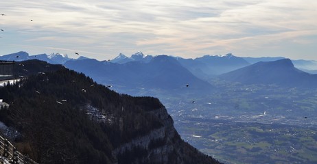 Sommet enneigé et vol d'oiseaux