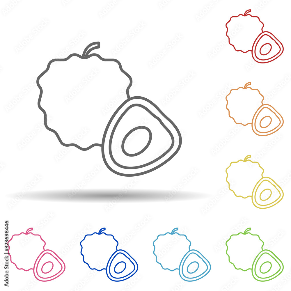 Poster pitaya in multi color style icon. simple thin line, outline vector of fruit icons for ui and ux, web