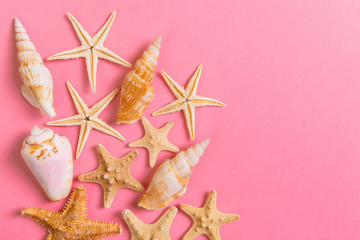 A lot of seashells and starfishon pink background with copy space