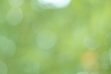 Background Green Olive Bokeh