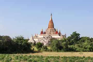Bagan. Ancient pagoda in Bagan, Myanmar. Old buddhist stupa and green bushes on clear day.